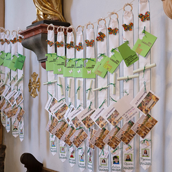 Das Wunder der Verwandlung